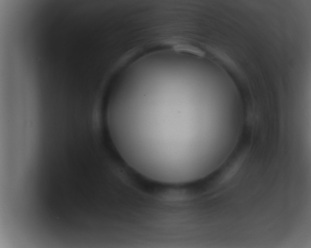 X0000100760256200807031156