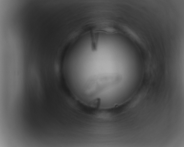 X0000100760258200807031156