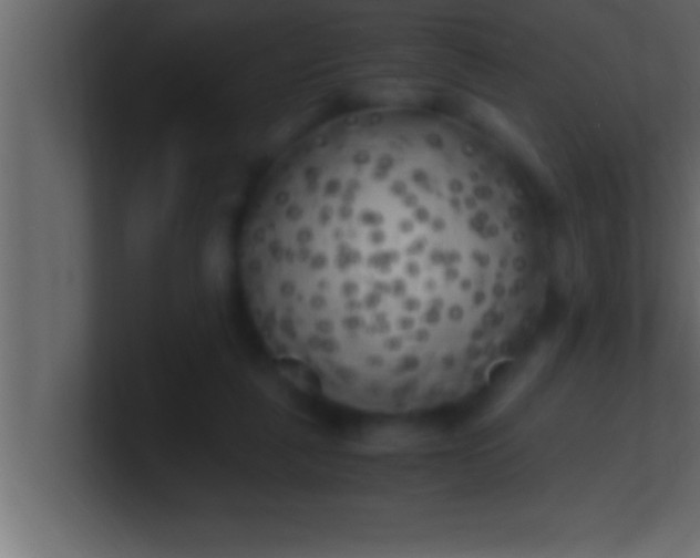 X0000100760259200807031156