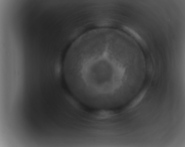 X0000100760261200807031156