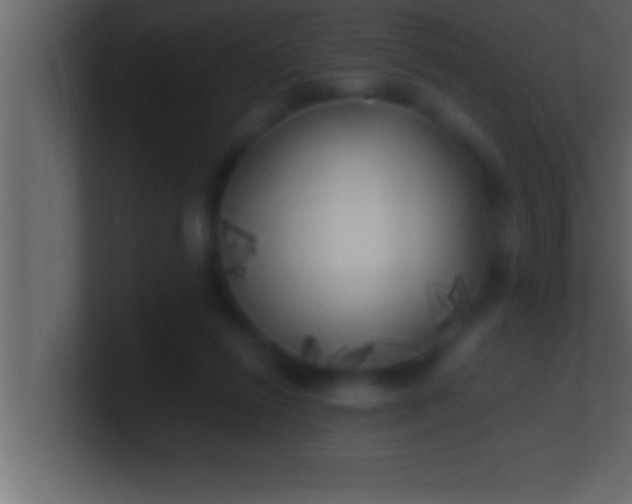 X0000100760262200807031156