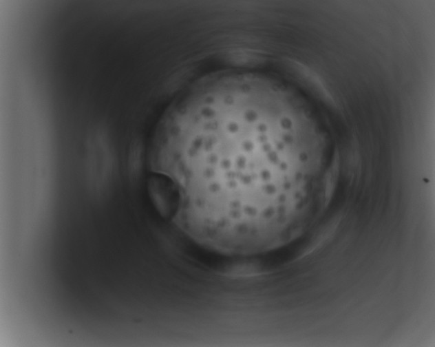 X0000100760263200807031156