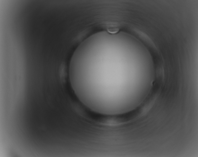 X0000100760264200807031156