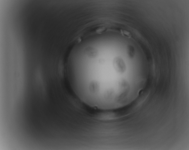 X0000100760266200807031156