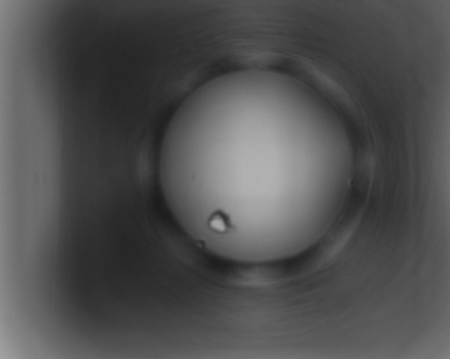 X0000100760268200807031156