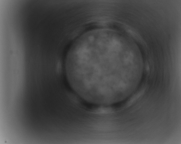 X0000100760270200807031156