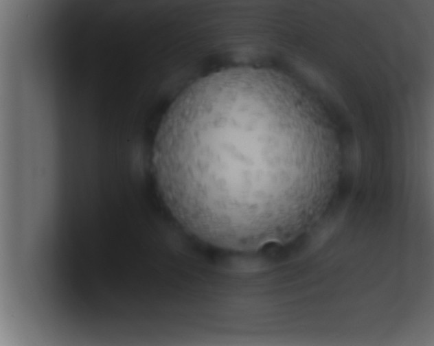 X0000100760272200807031156