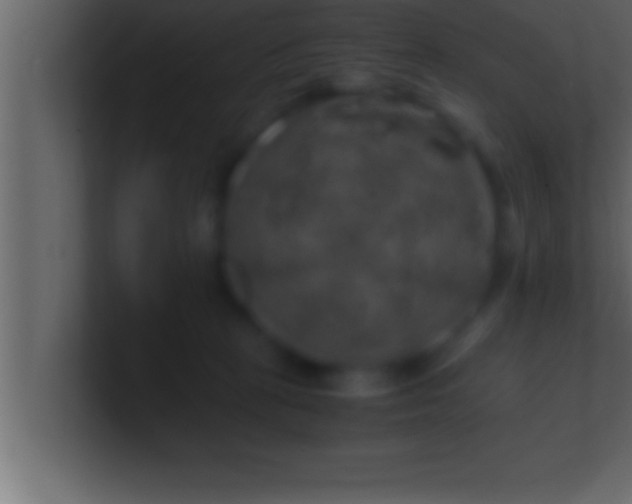 X0000100760273200807031156