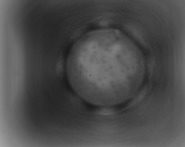 X0000100760275200807031156