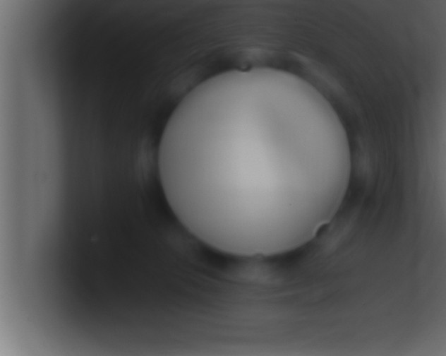 X0000100760276200807031156