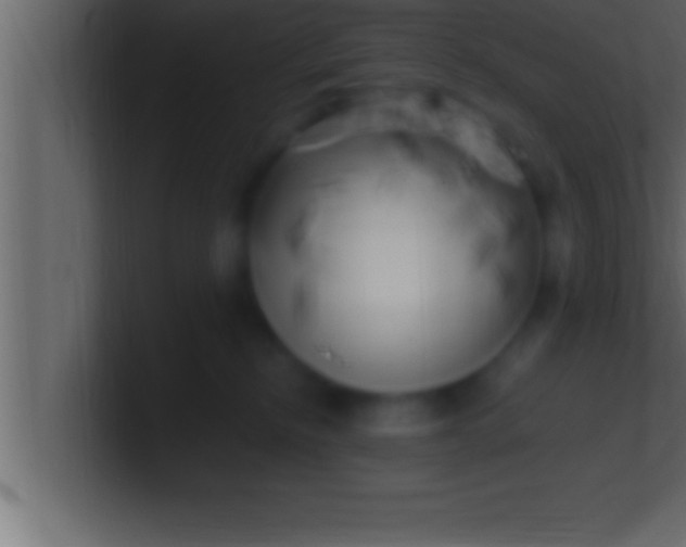 X0000100760278200807031156