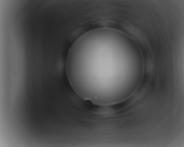 X0000100760279200807031156