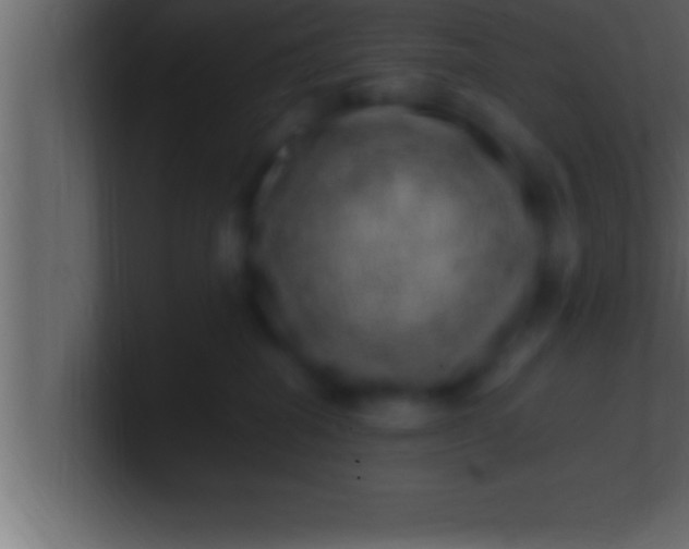 X0000100760282200807031156