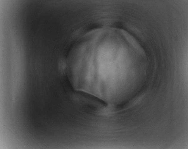 X0000100760288200807031156