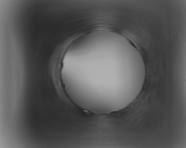 X0000100760289200807031155