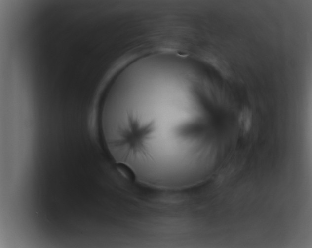 X0000100760292200807031155