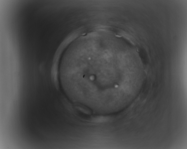 X0000100760293200807031155