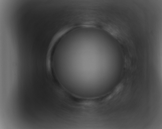 X0000100760294200807031155