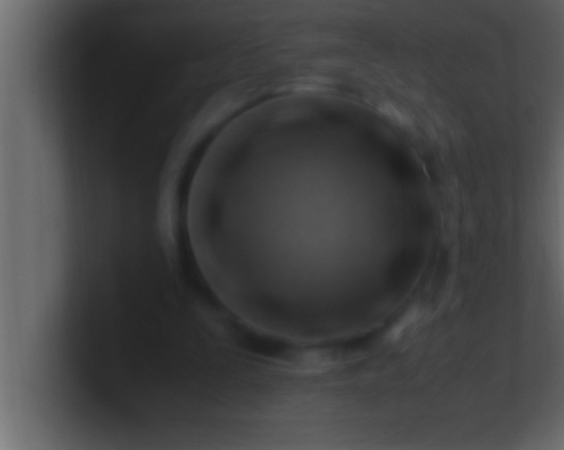 X0000100760295200807031155