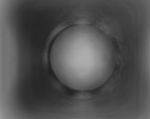 X0000100760296200807031155