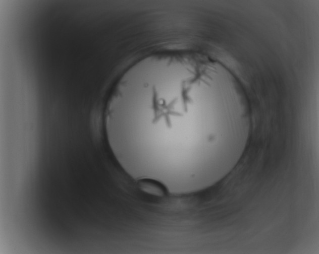 X0000100760297200807031155