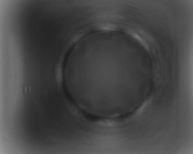 X0000100760299200807031155