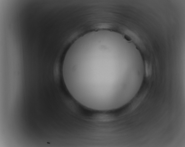 X0000100760300200807031155