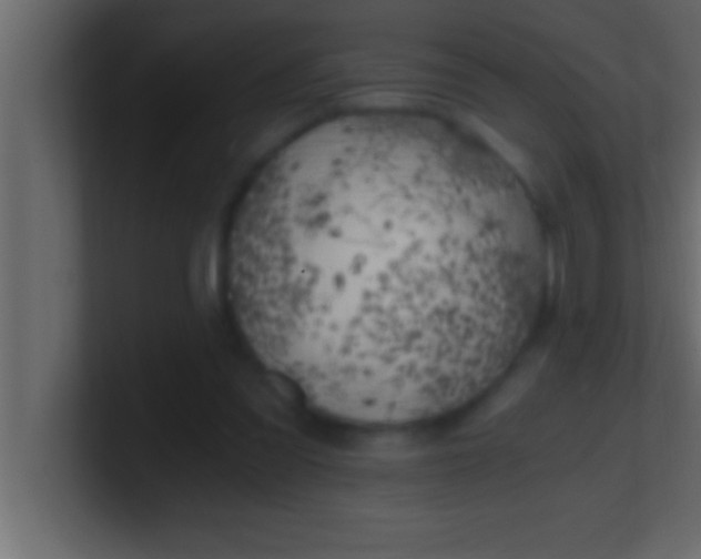 X0000100760301200807031155