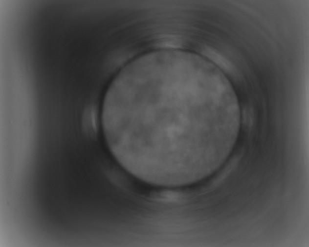 X0000100760302200807031155