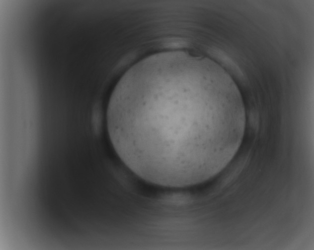 X0000100760304200807031155