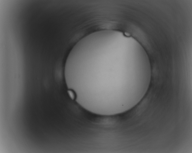 X0000100760305200807031155