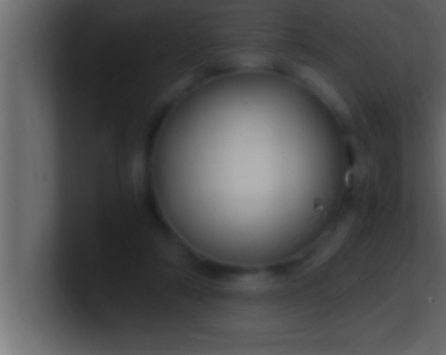 X0000100760306200807031155