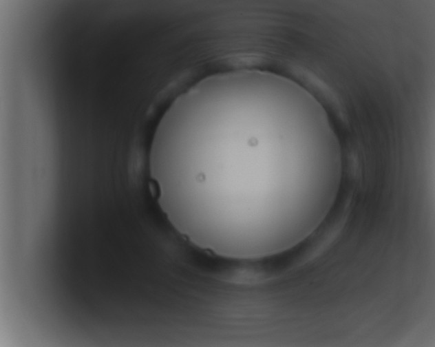 X0000100760308200807031155