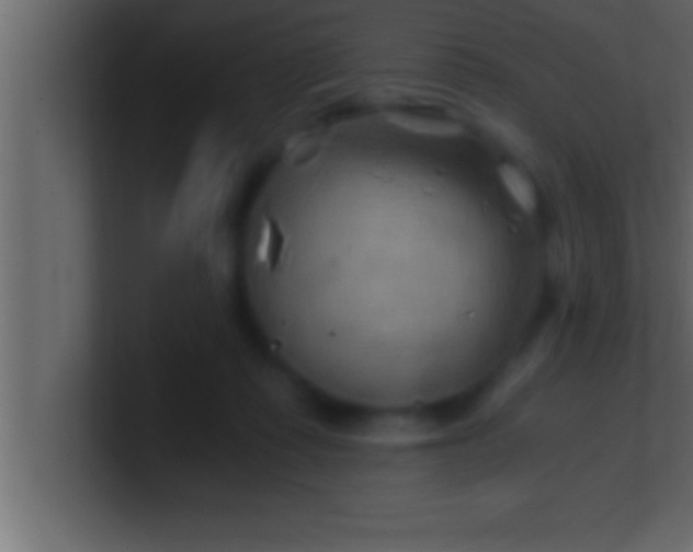 X0000100760315200807031155