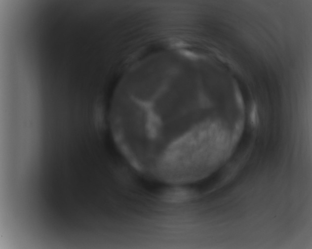 X0000100760316200807031155