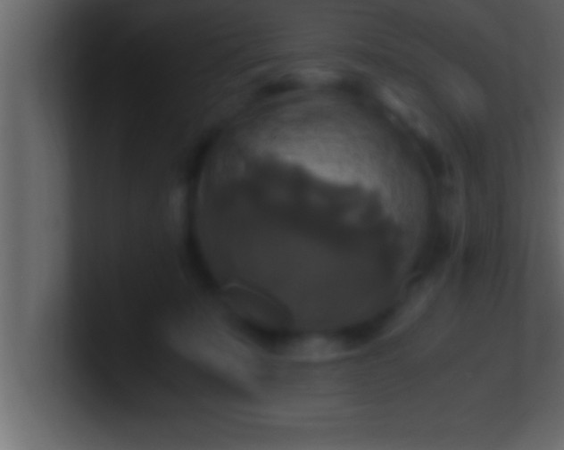 X0000100760319200807031155