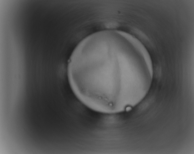 X0000100760321200807031155