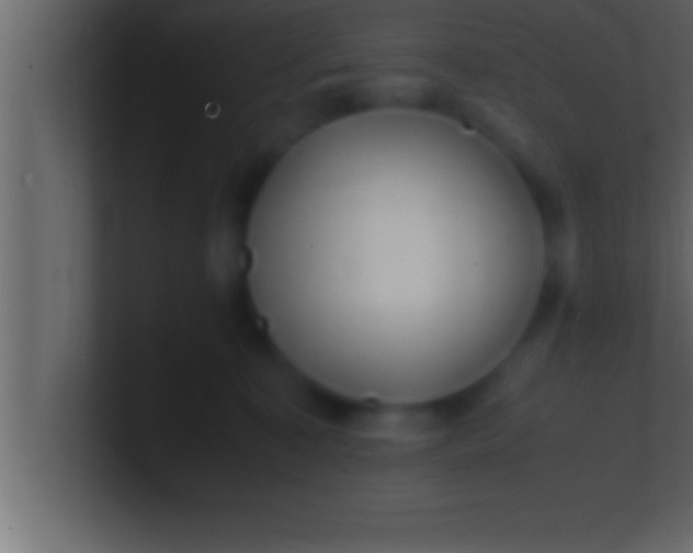 X0000100760323200807031155