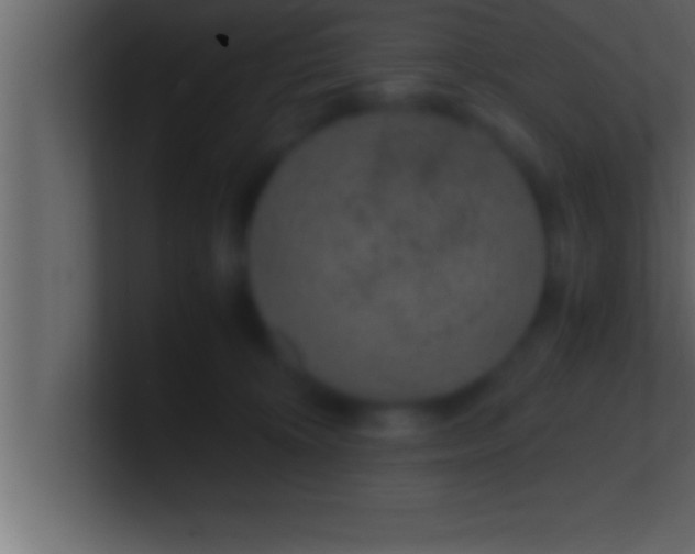 X0000100760324200807031155