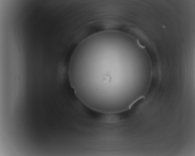 X0000100760327200807031155