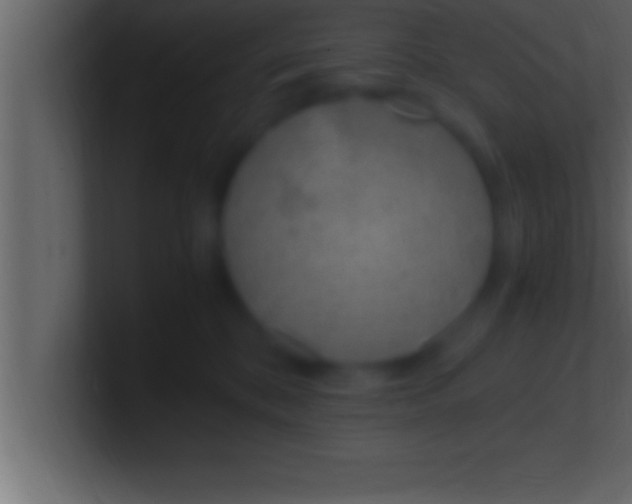 X0000100760328200807031155