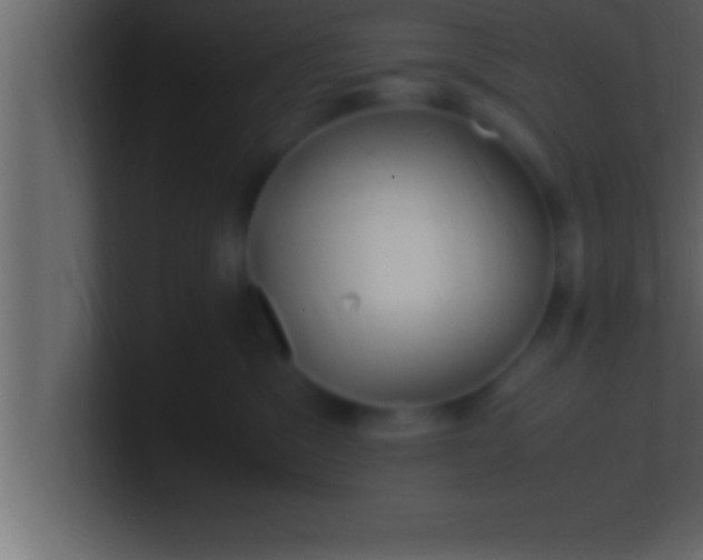 X0000100760329200807031155