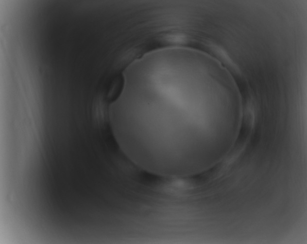 X0000100760330200807031155