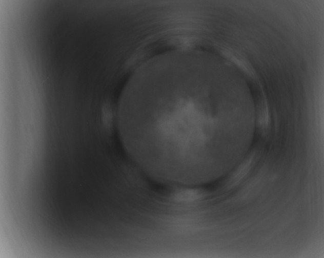 X0000100760332200807031155