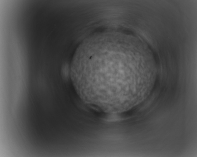 X0000100760335200807031155