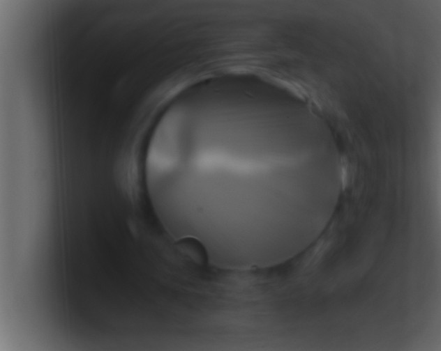 X0000100760339200807031154