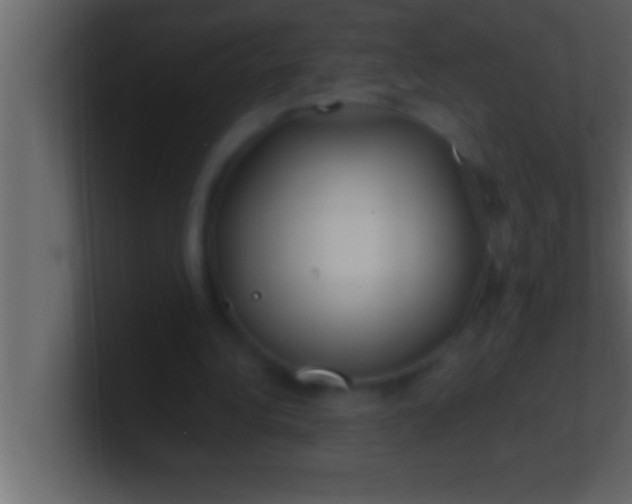 X0000100760340200807031154