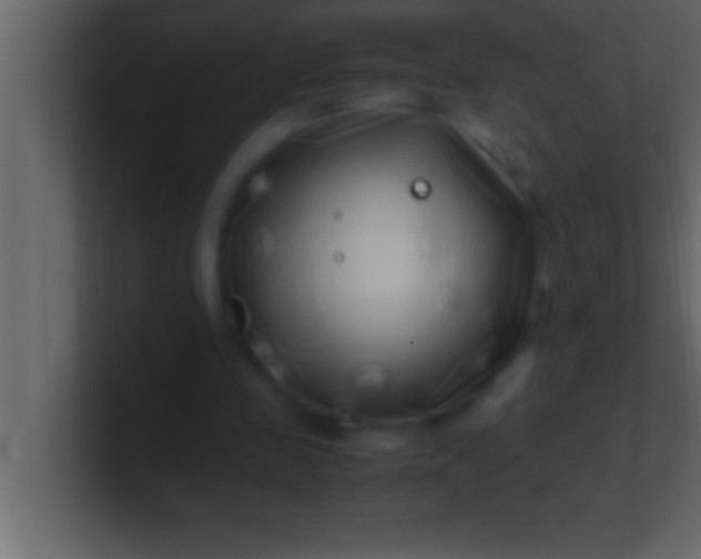 X0000100760341200807031154