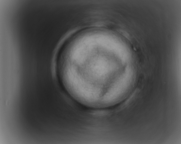 X0000100760342200807031154