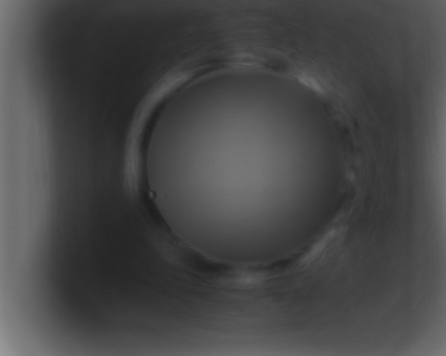 X0000100760343200807031154